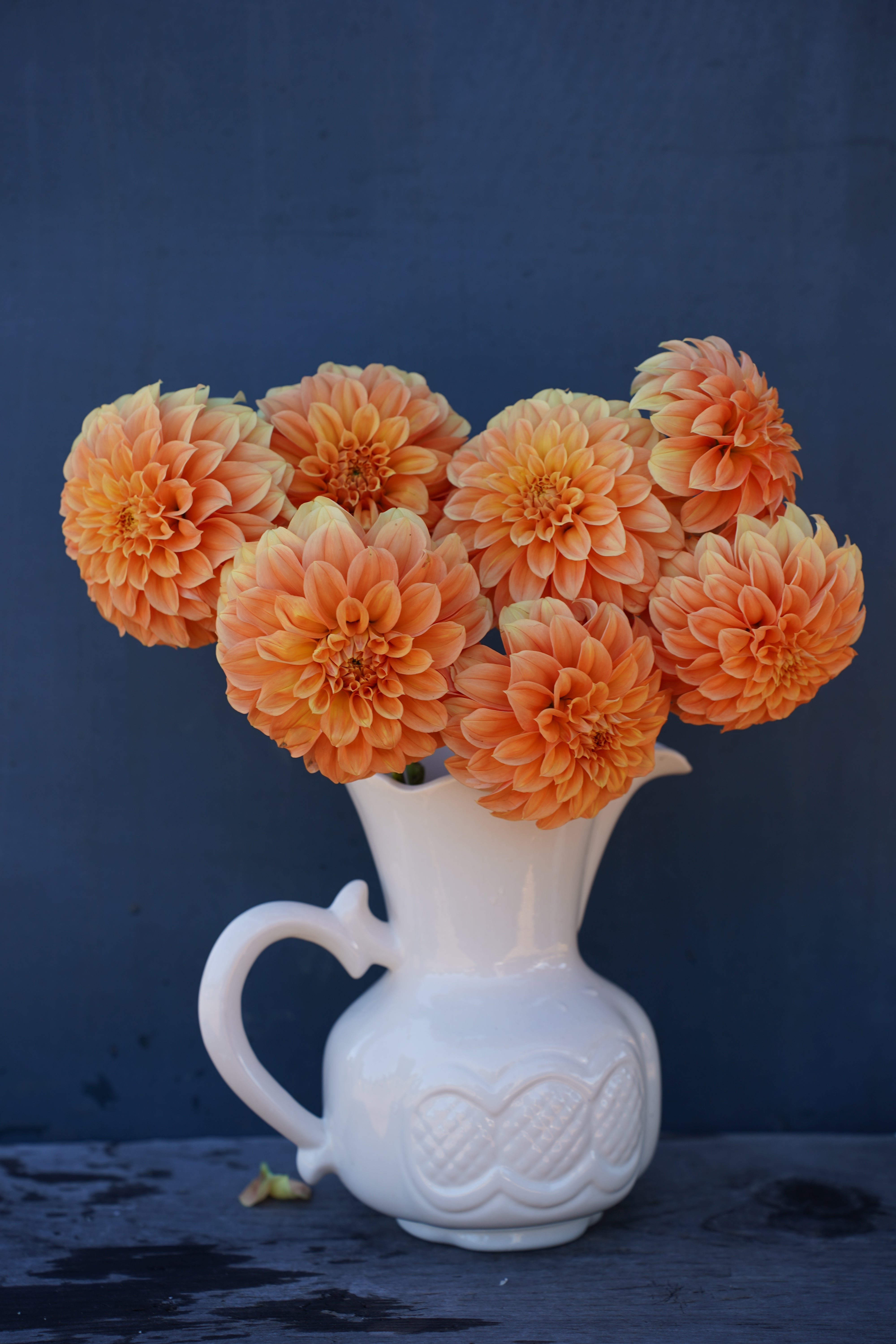 Bracken Sarah Dahlia Tuber