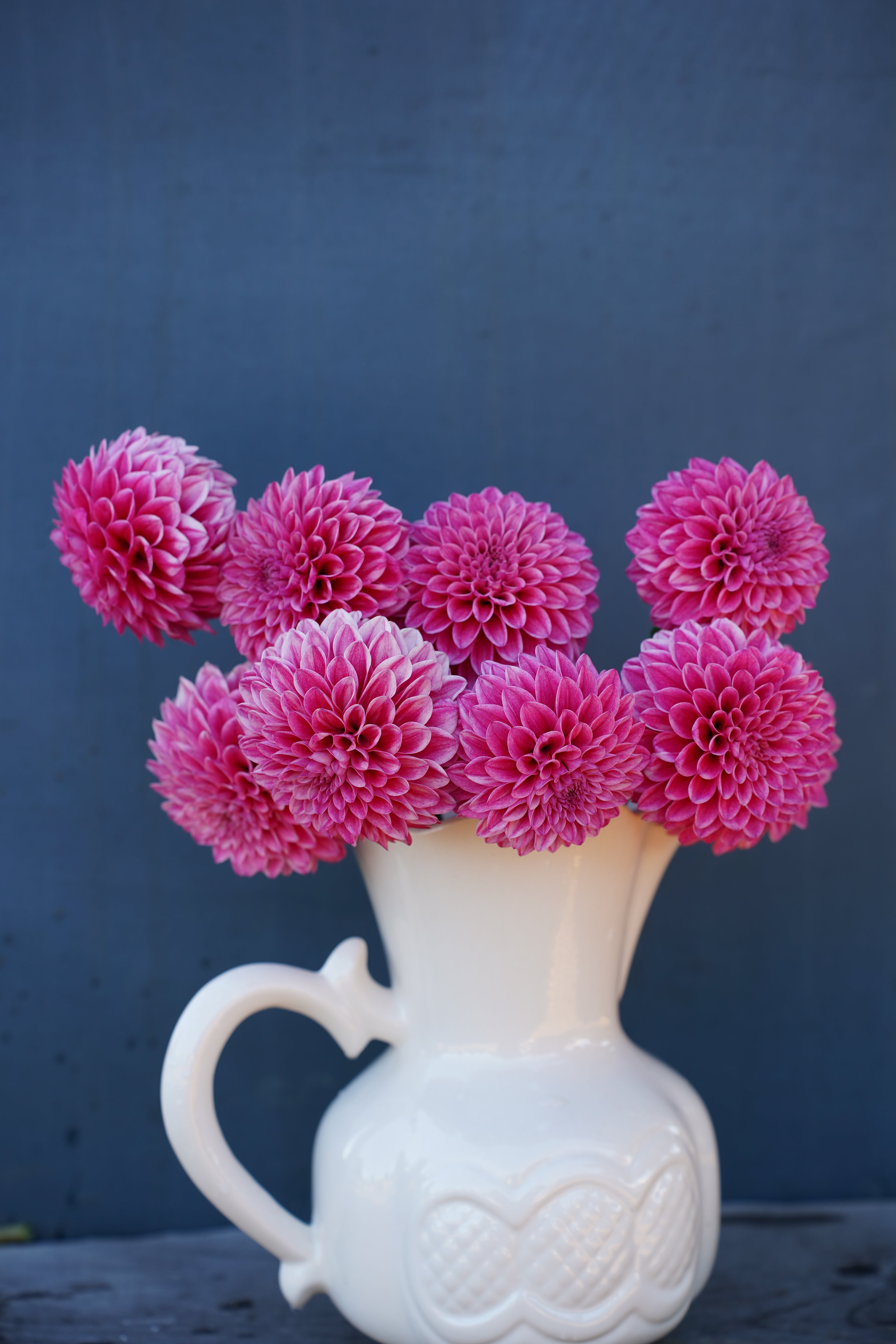 Lavadandy Dahlia Tuber