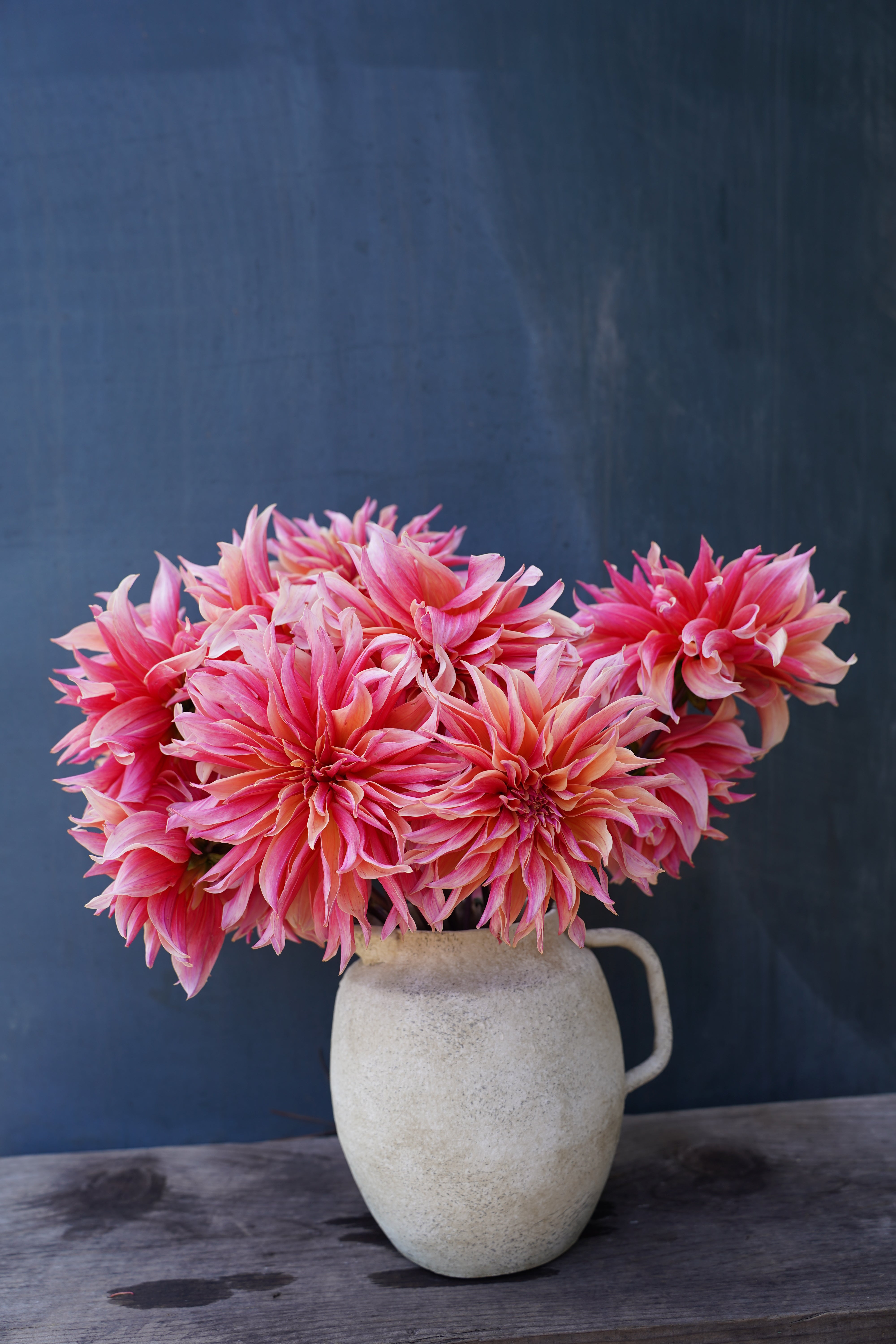 Labyrinth Dahlia Tuber
