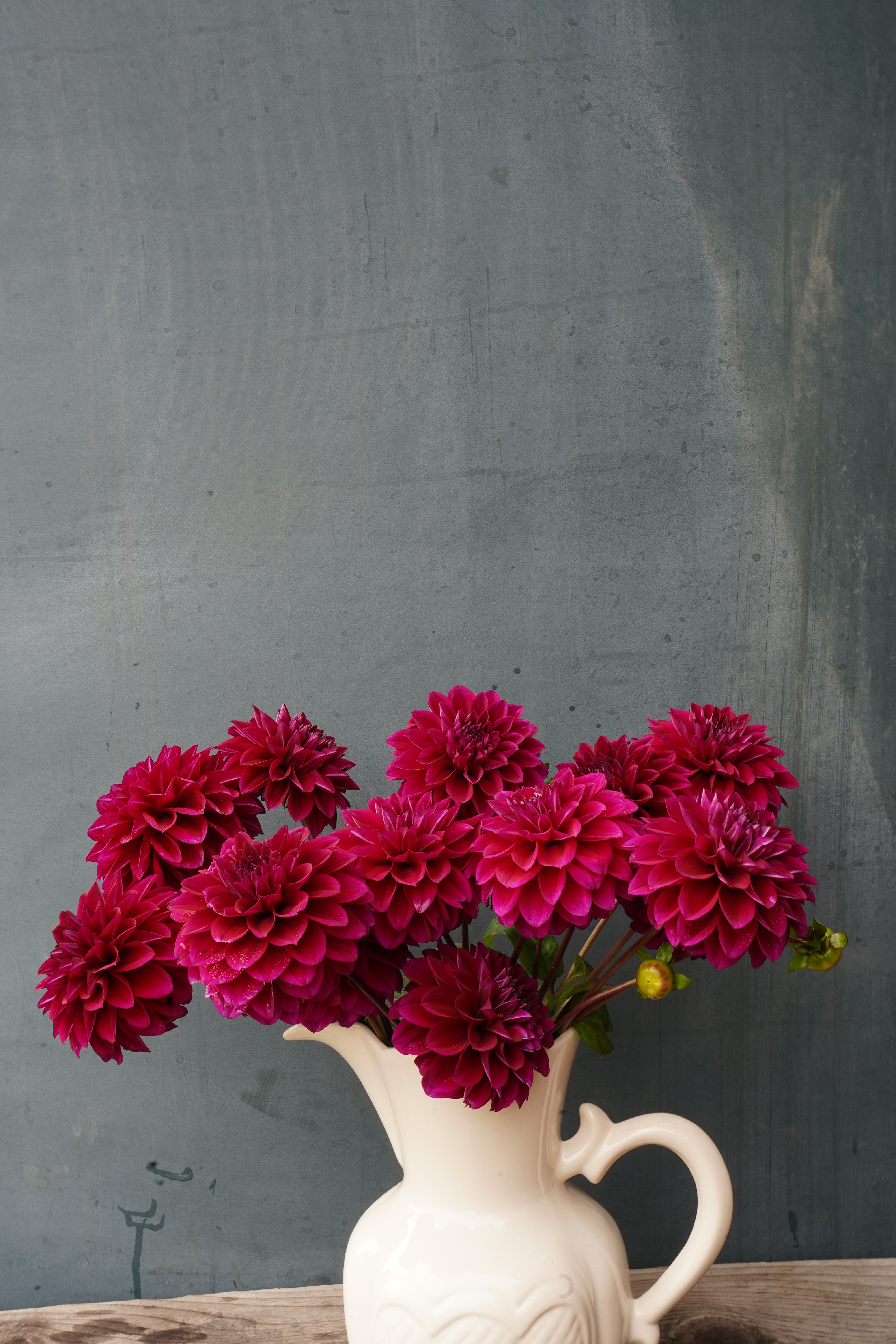 Woodlands Merinda Dahlia Tuber