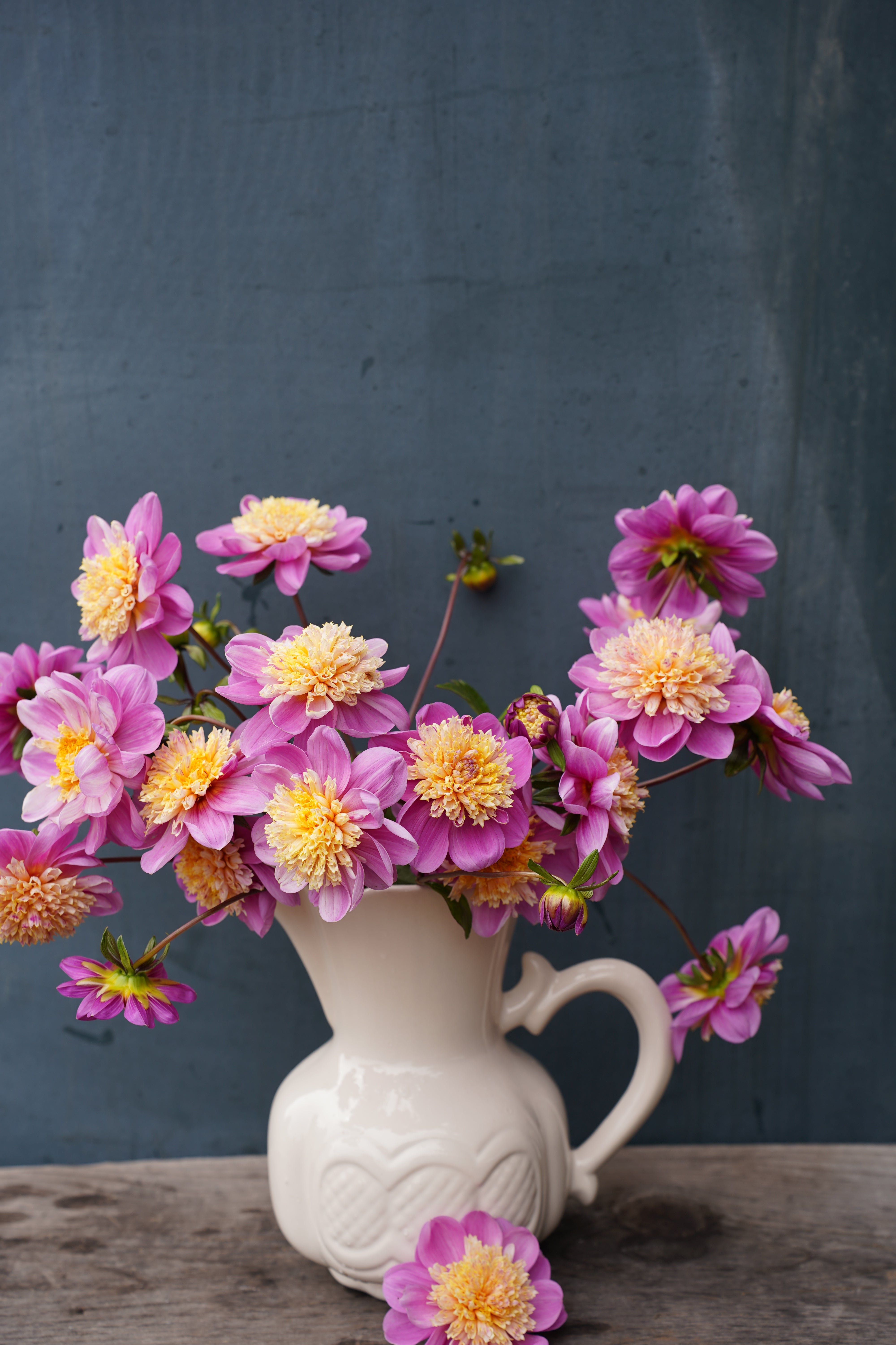 Take Off Dahlia Tuber