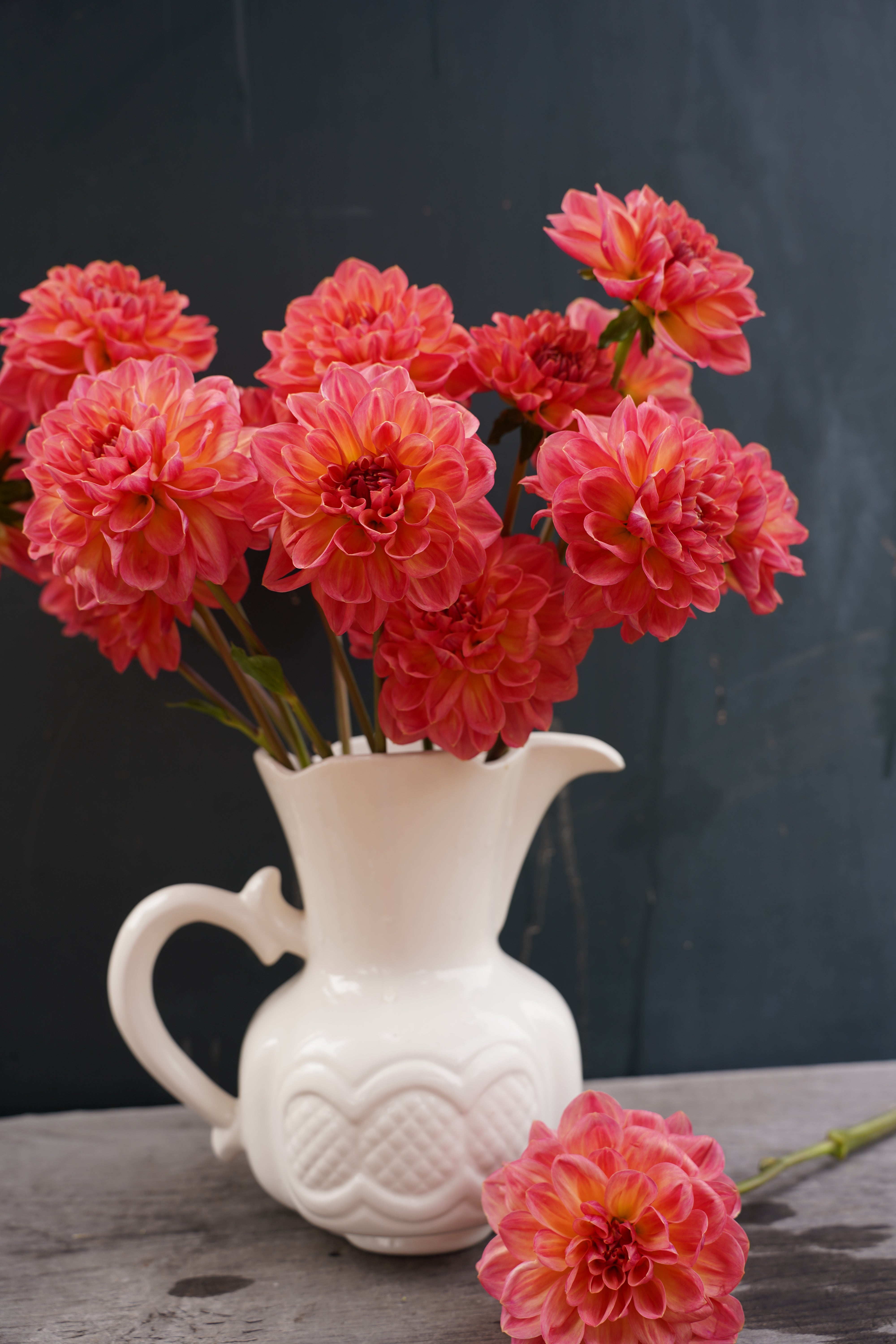 Lark's Ebbe Dahlia Tuber