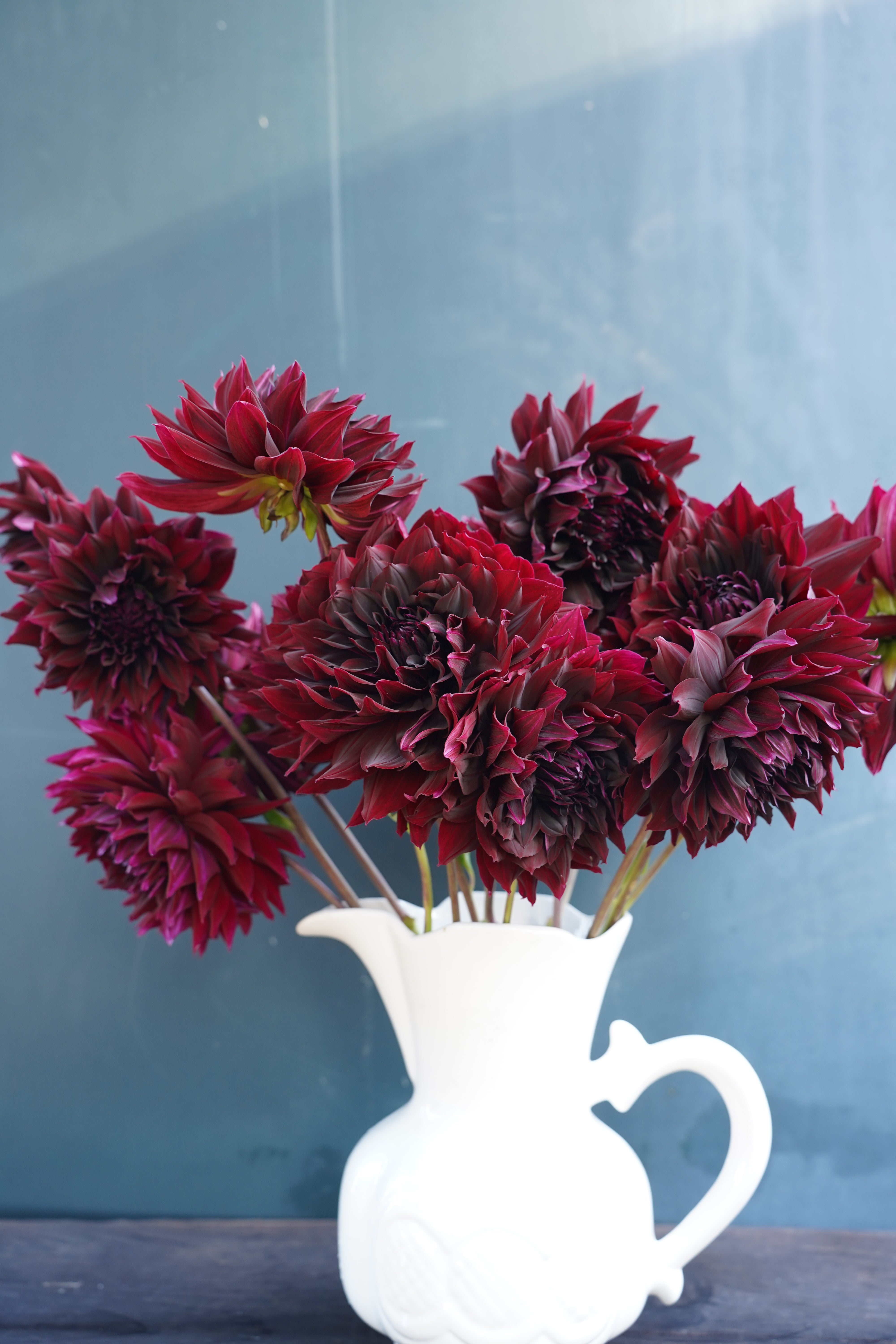 Rip City Dahlia Tuber