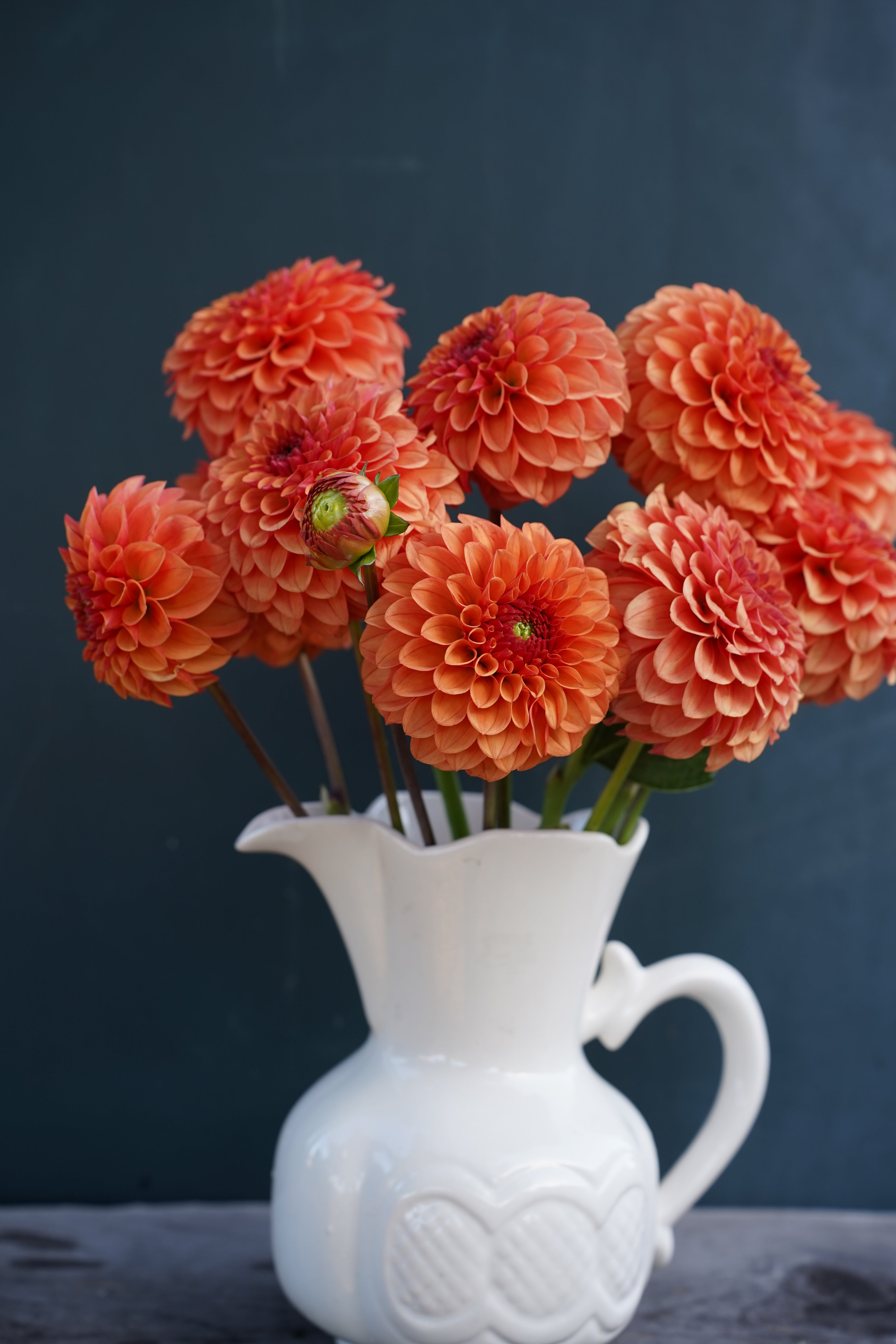 KA's® Blood Orange Dahlia Tuber