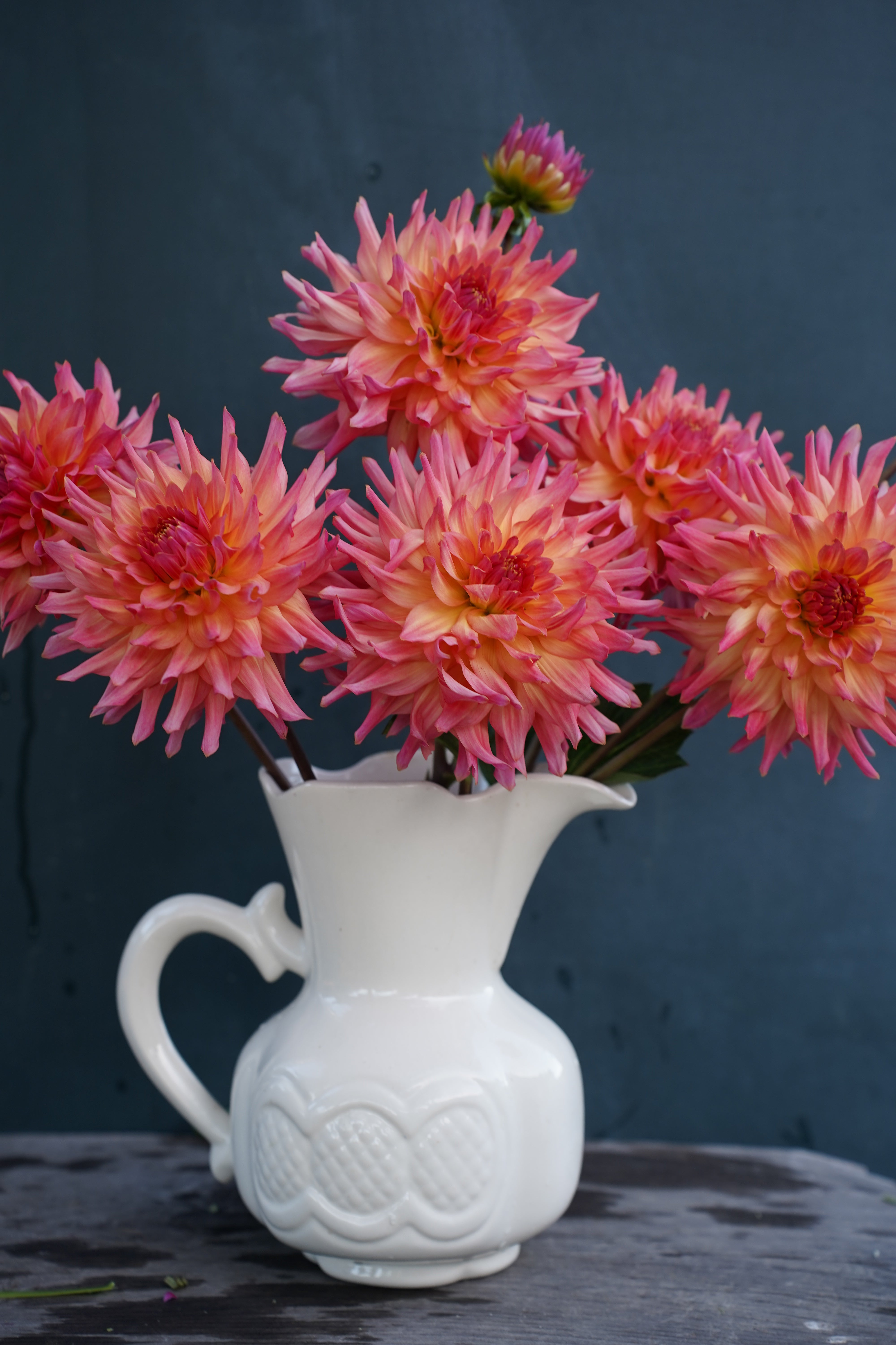 Just Peachy Dahlia Tuber