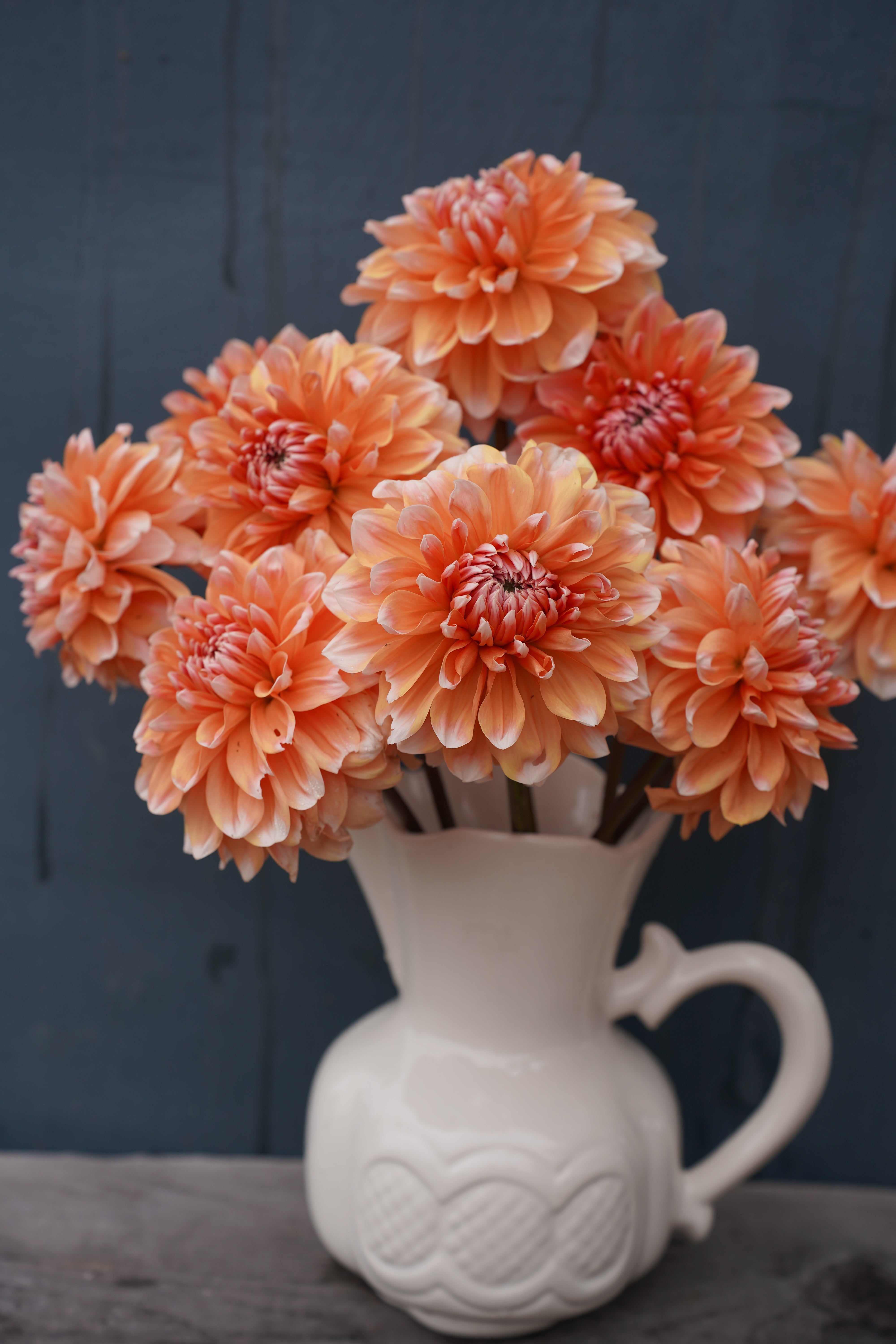 Linda Esther Dahlia Tuber