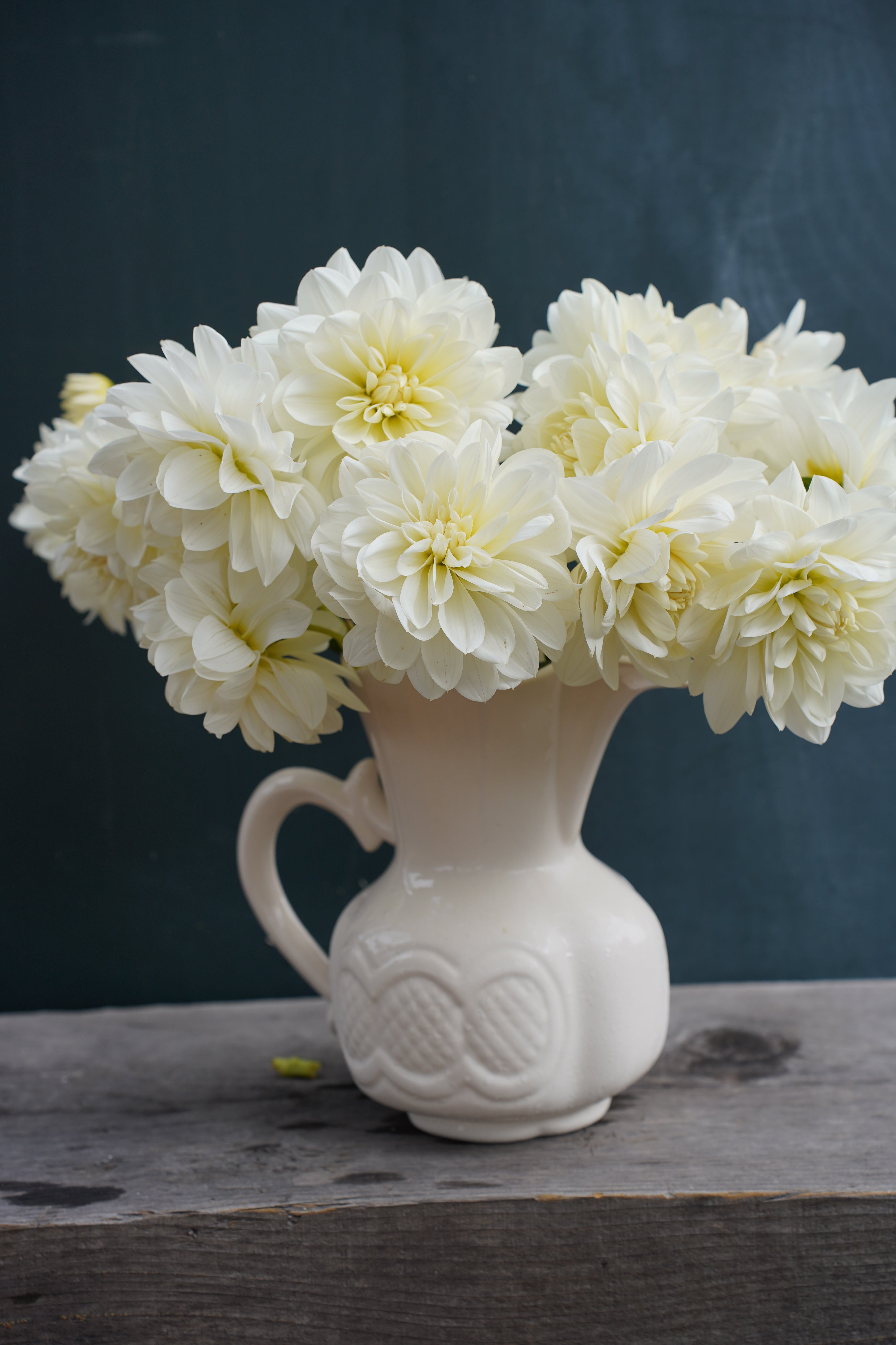 Bridezilla Dahlia Tuber