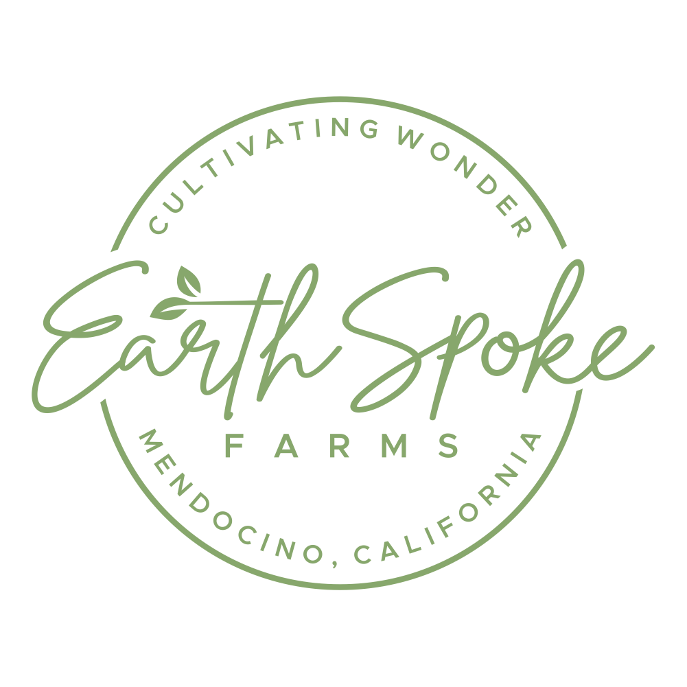 EarthSpoke Logo Comfort Colors T-shirt