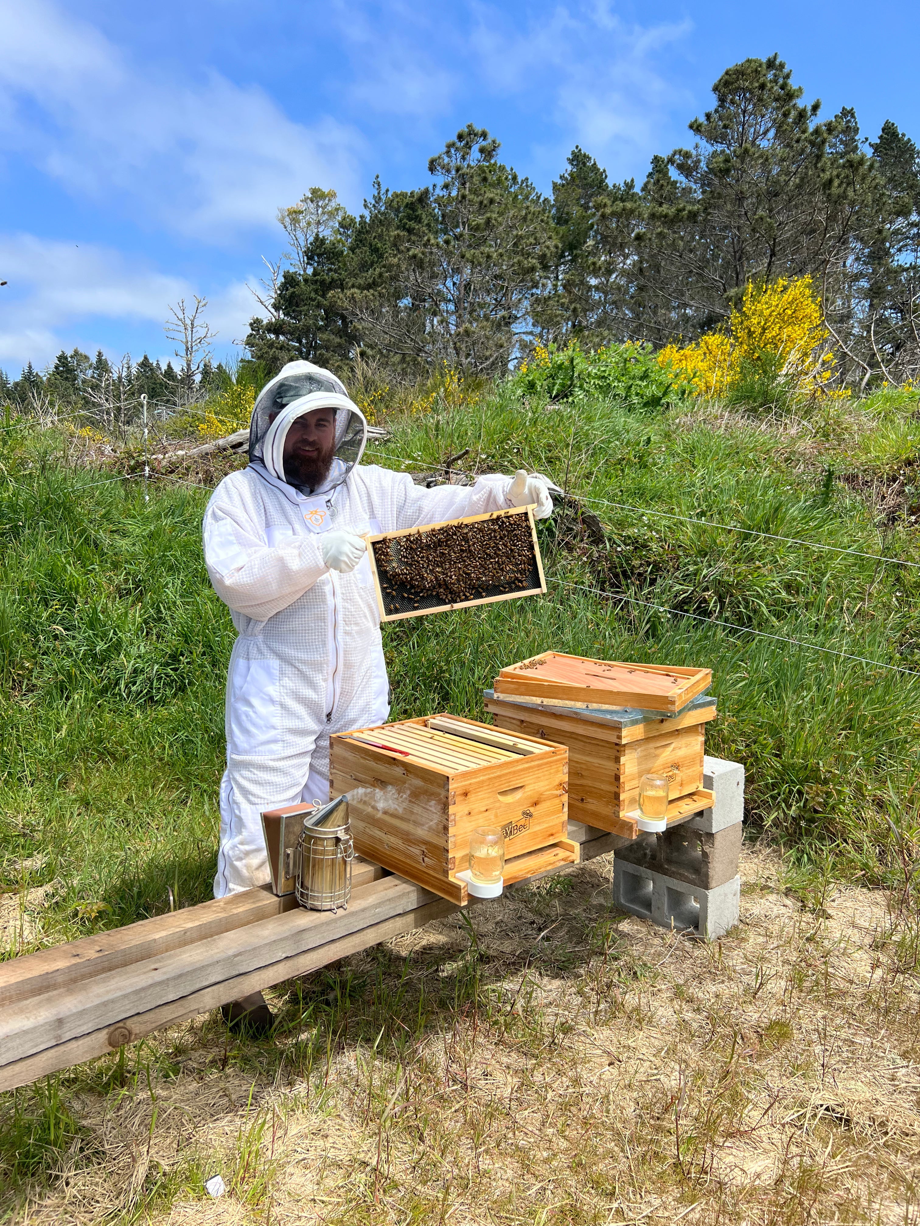 Welcoming the Bees: A New Chapter in Regenerative Farming at EarthSpoke Farms
