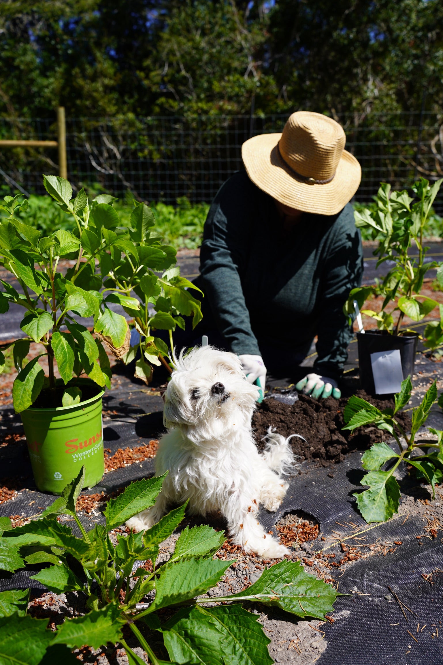 Our Farm | EarthSpokefarms