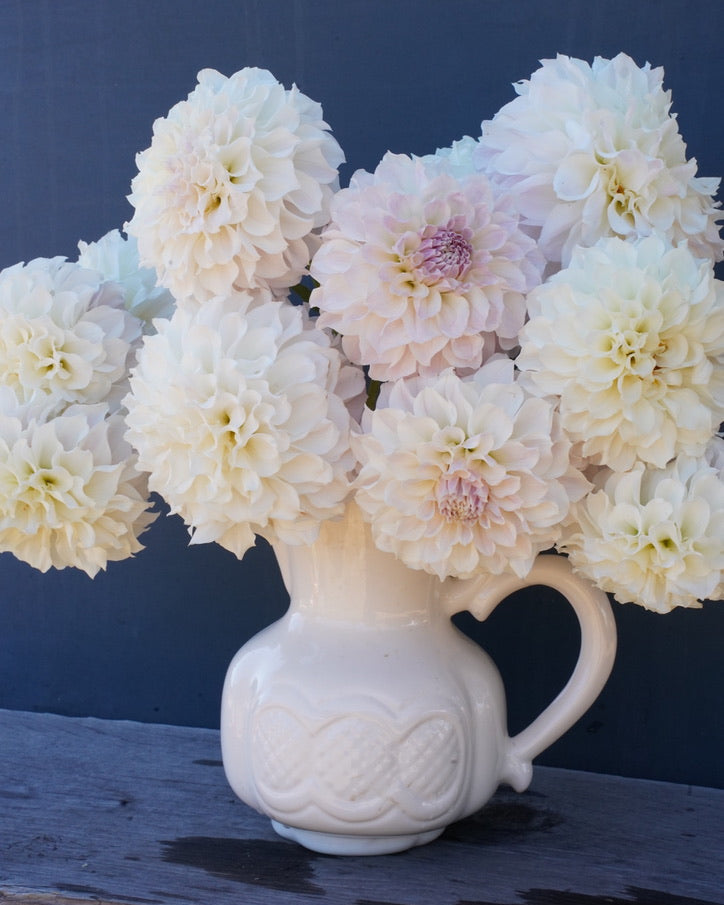 Irish Ruffles