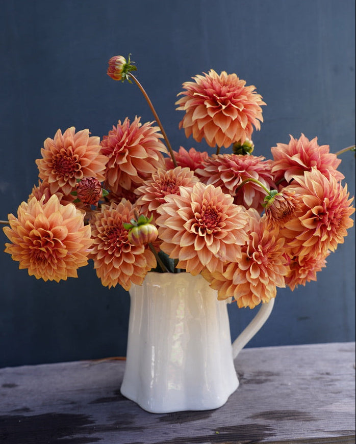 KA's® Crème Brulee