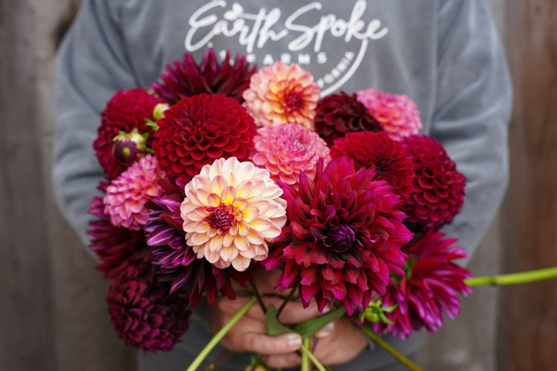 Raspberry Romance Collection | EarthSpoke Farms