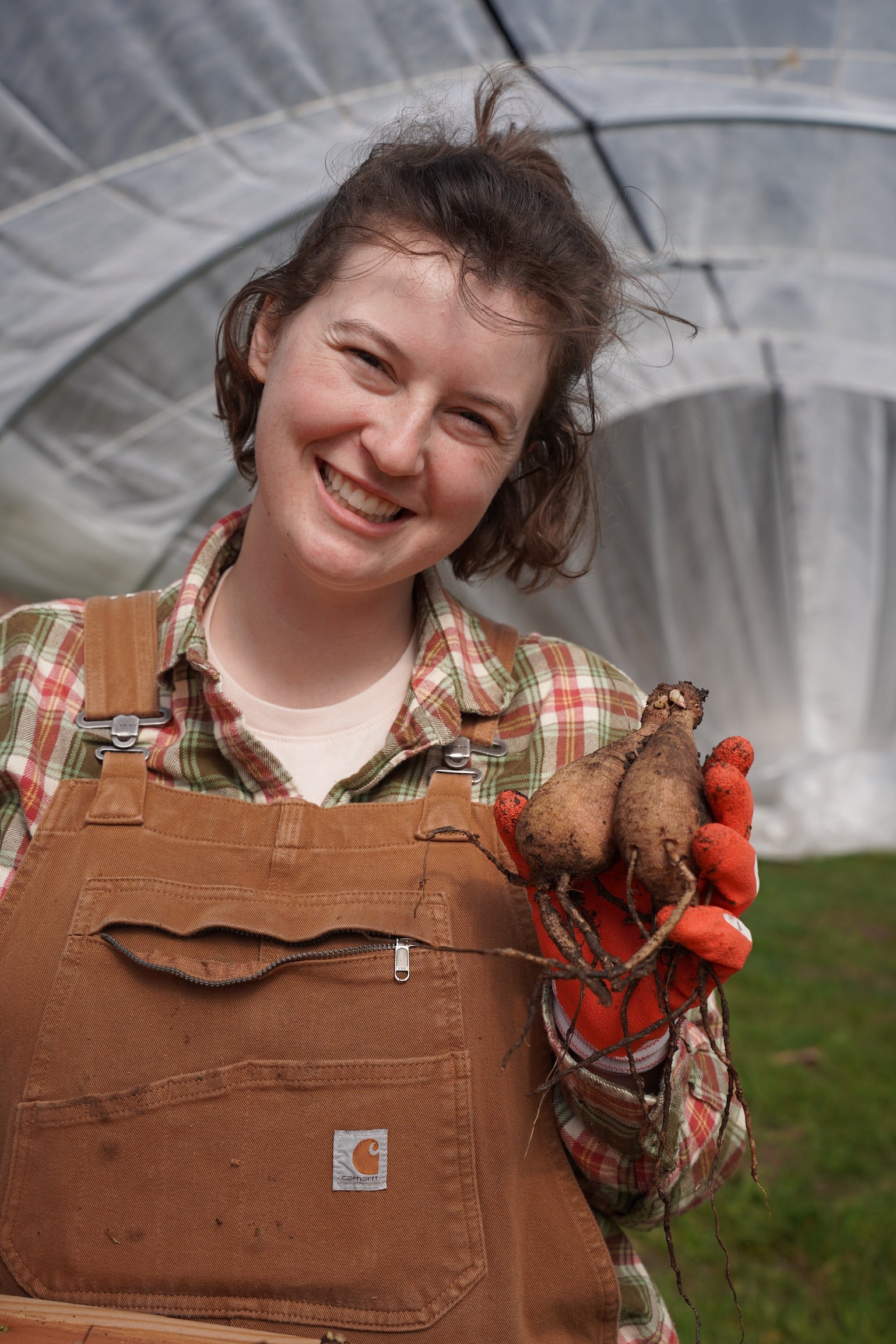 Hands-On Dahlia Tuber Division Workshop October 2025