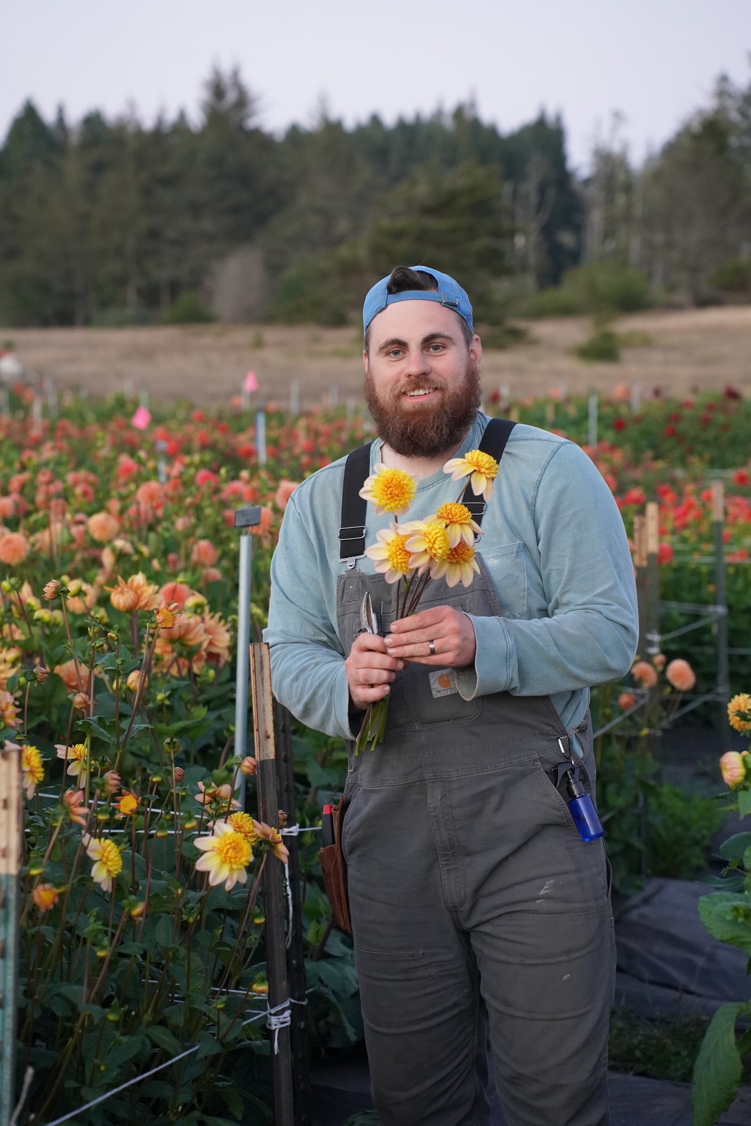 Hands-On Dahlia Tuber Division Workshop October 2025