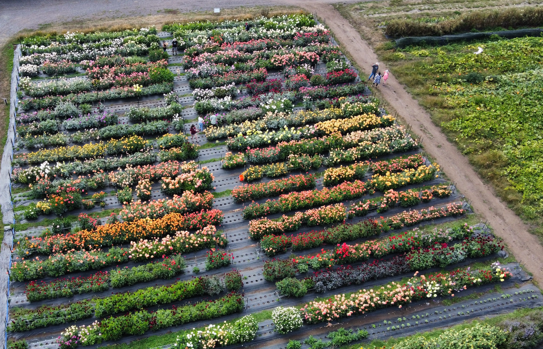 EarthSpoke Farms - Aerial View